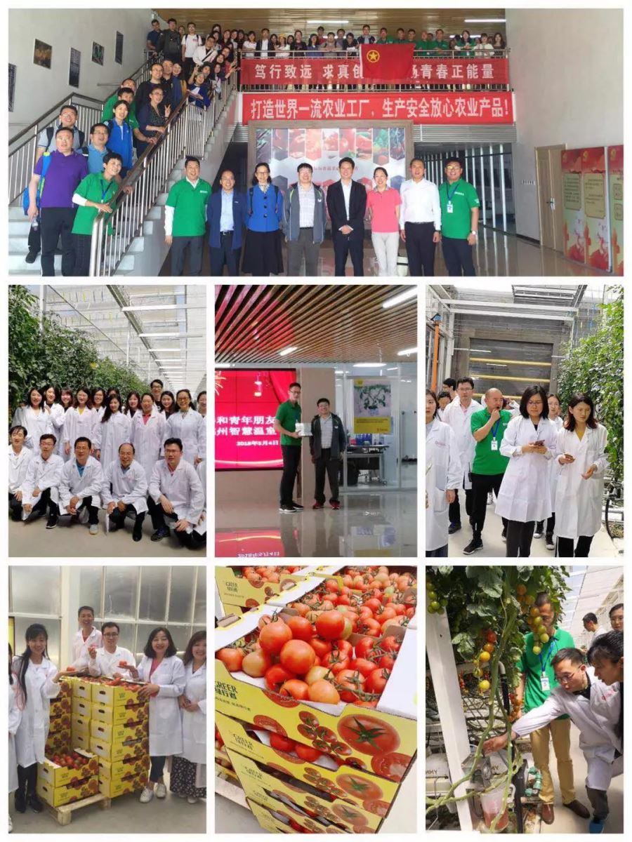 EMC易倍(中国区)体育官方网站