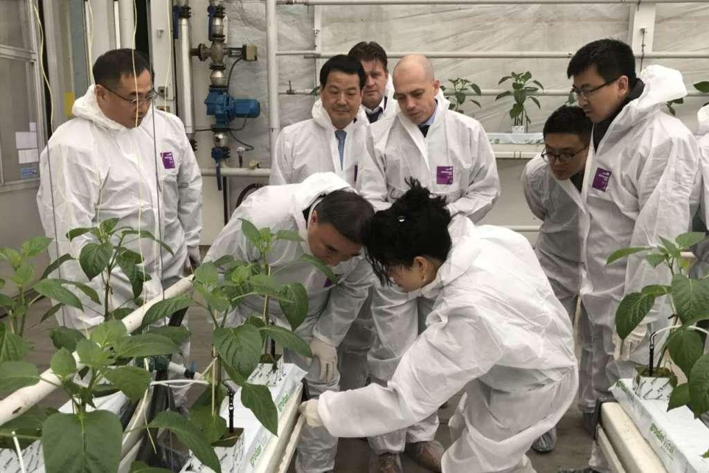 EMC易倍(中国区)体育官方网站