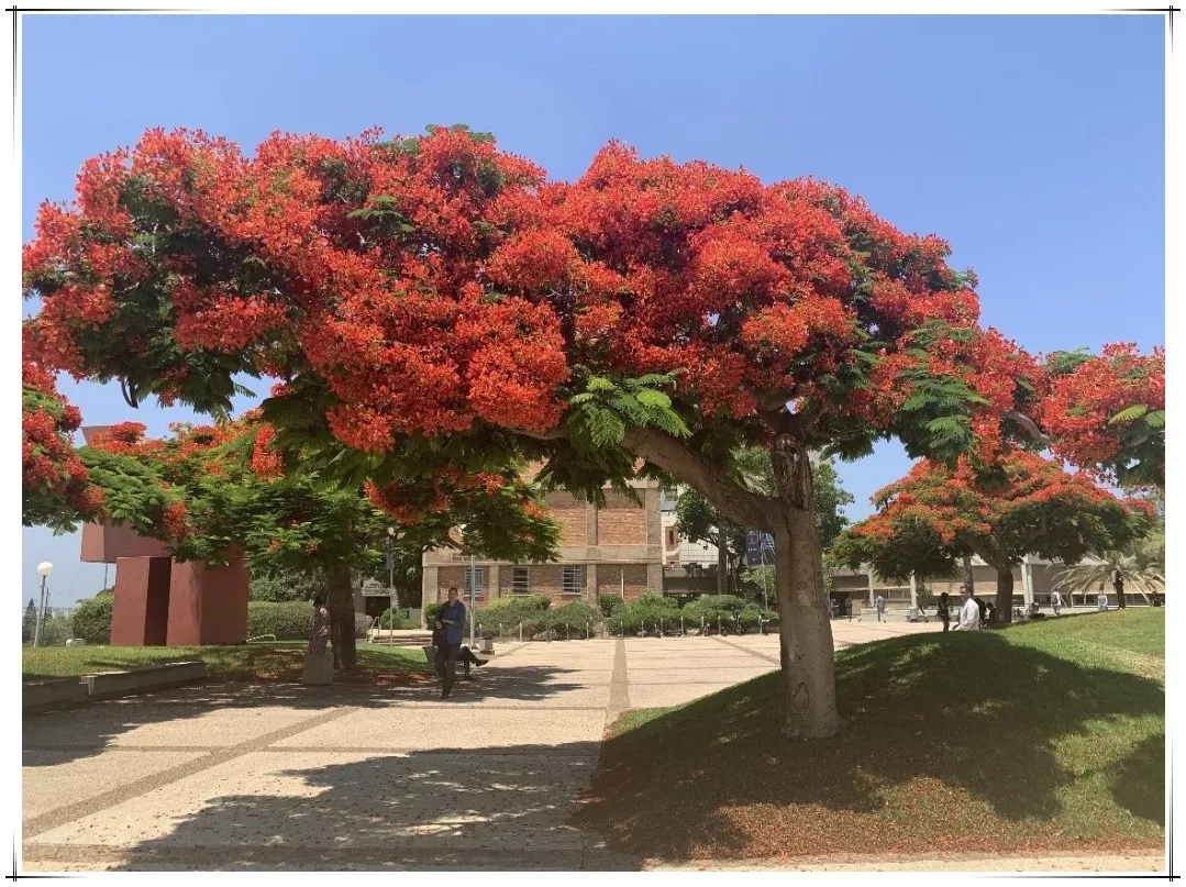 EMC易倍(中国区)体育官方网站