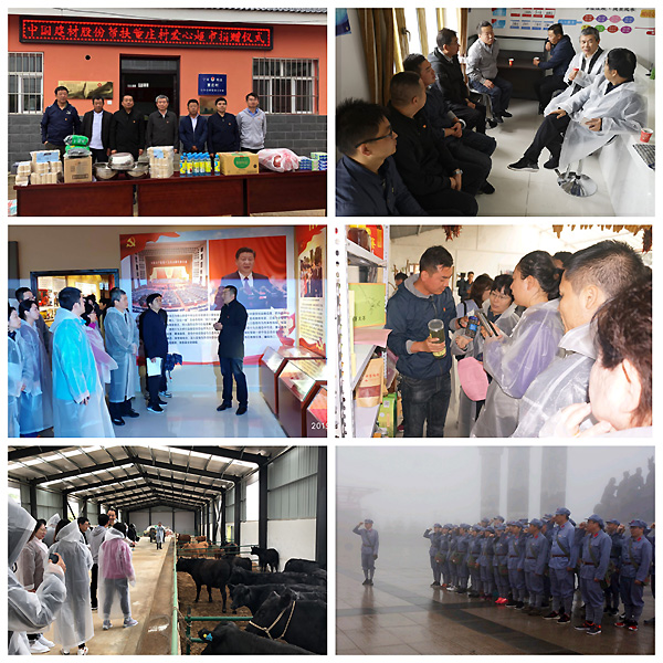 EMC易倍(中国区)体育官方网站