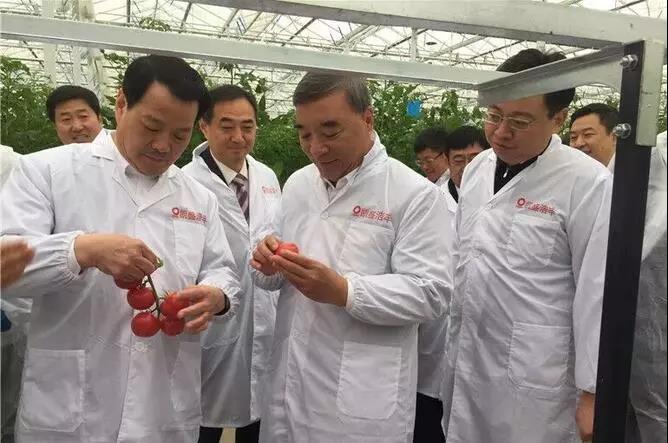 EMC易倍(中国区)体育官方网站