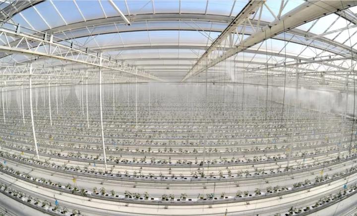 EMC易倍(中国区)体育官方网站