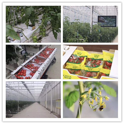 EMC易倍(中国区)体育官方网站