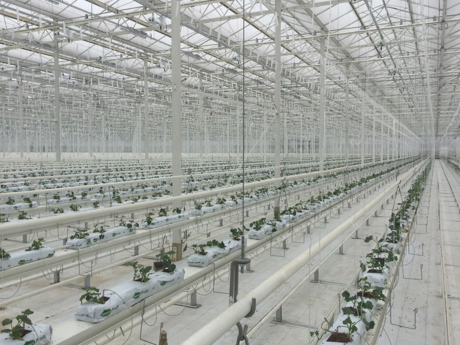 EMC易倍(中国区)体育官方网站