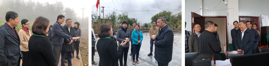 EMC易倍(中国区)体育官方网站