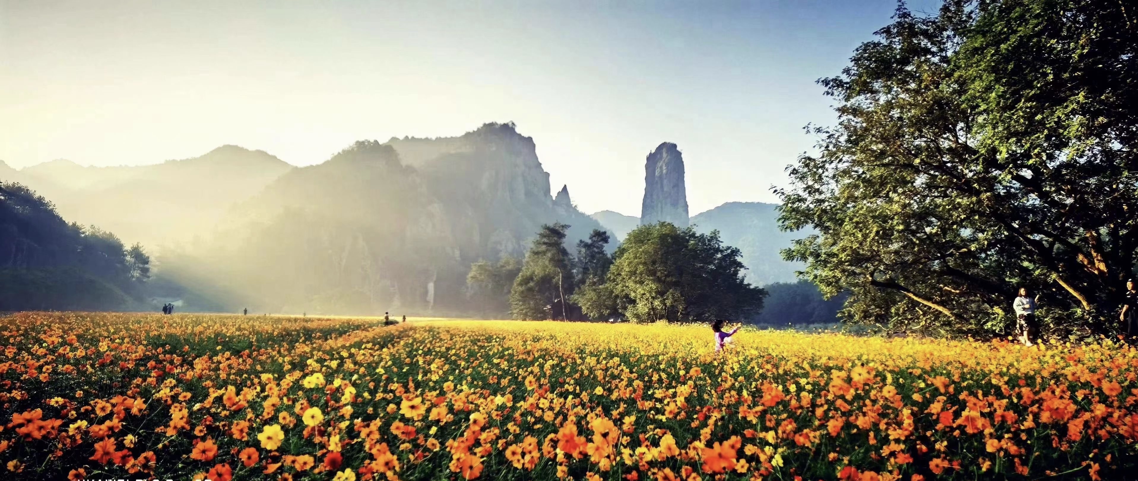 EMC易倍(中国区)体育官方网站