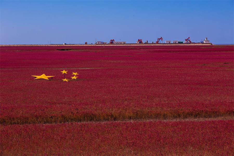 EMC易倍(中国区)体育官方网站