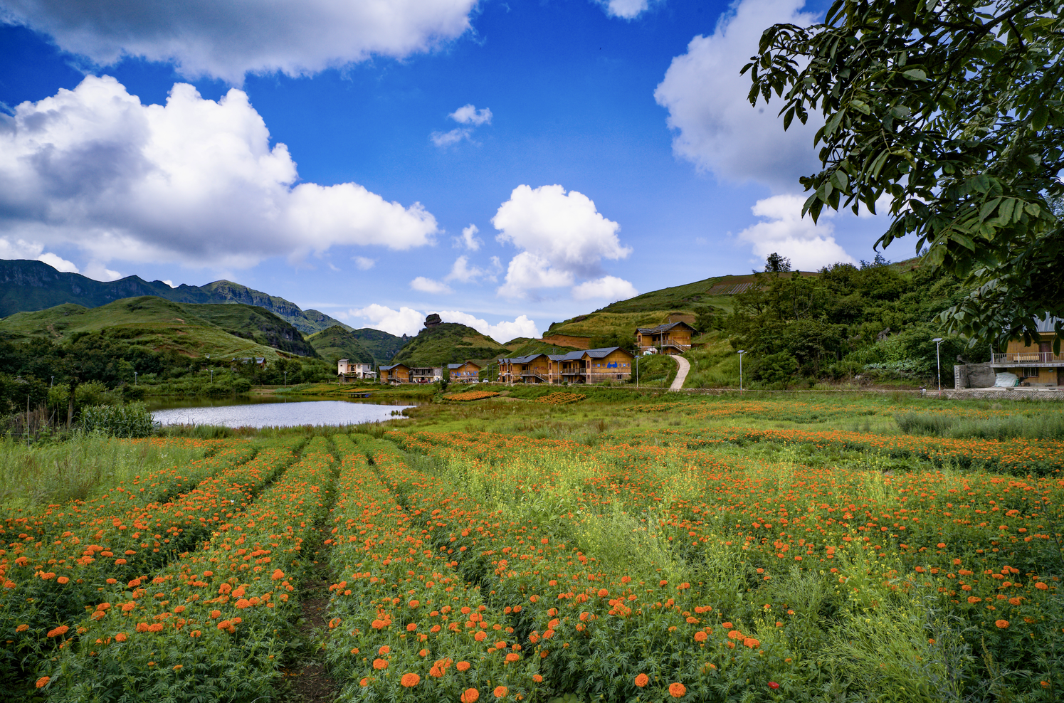 EMC易倍(中国区)体育官方网站