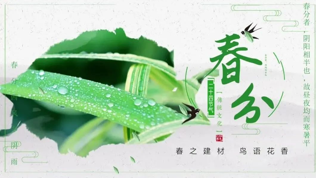 今日春分 | 春之建材，鸟语花香