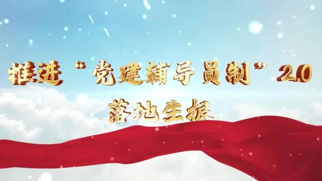  党建经营融合十佳案例④ | 西南水泥——“领导员造”+“进建型组织”，让党建成为看得见的“出产力” 