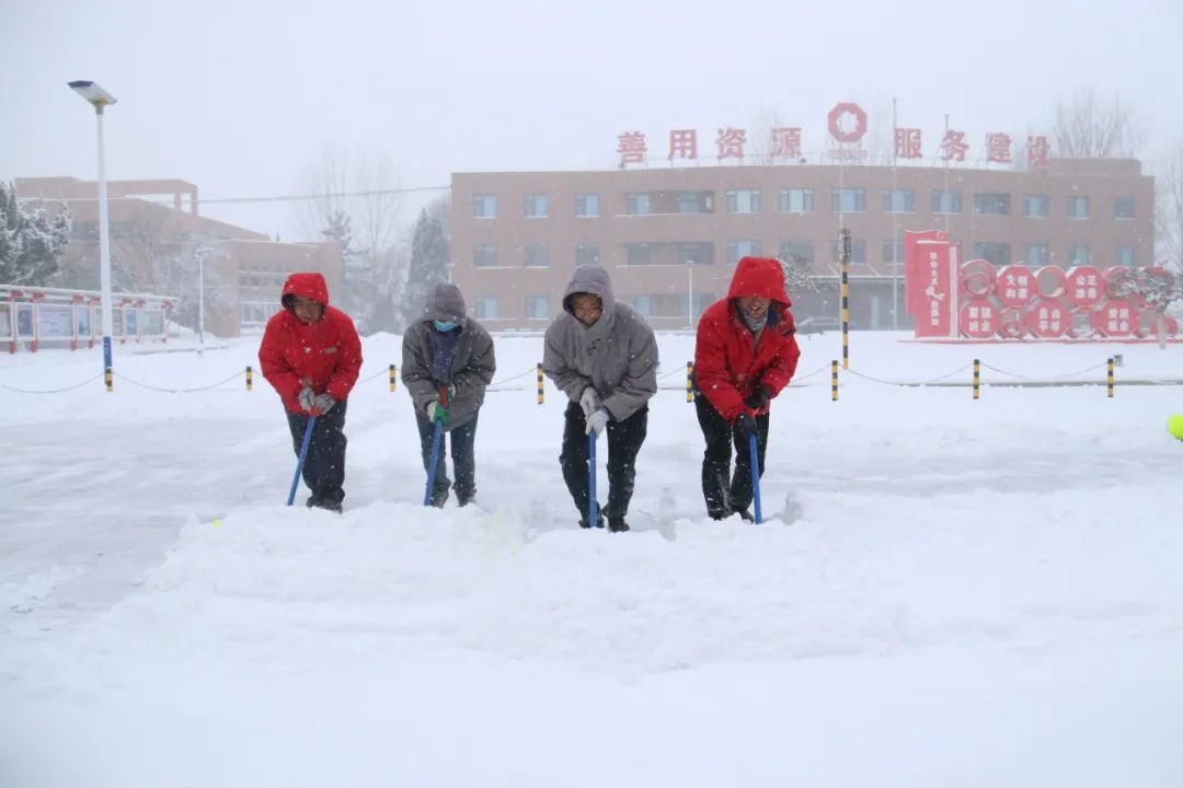 20210126100241808513