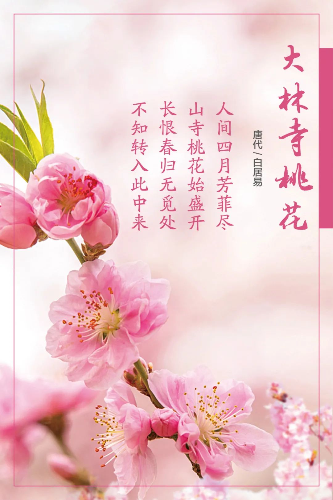 20210406105814458412