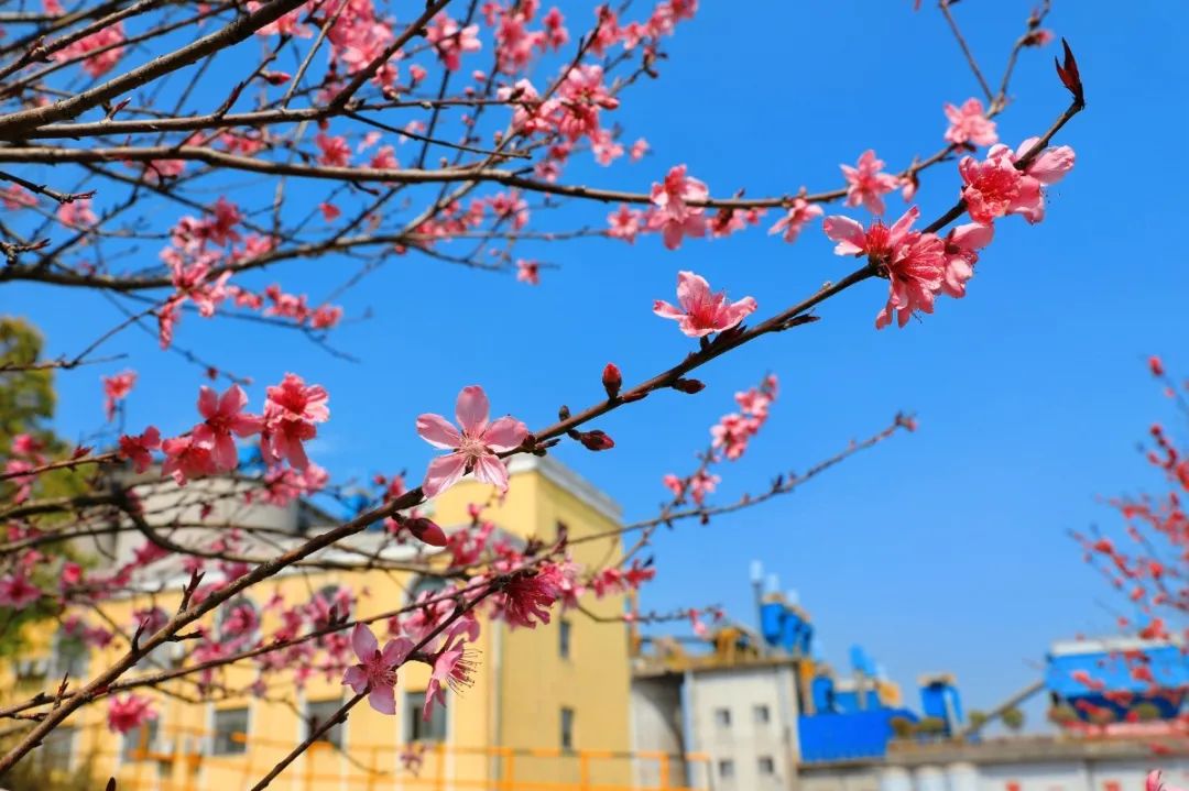 20210406105814801413