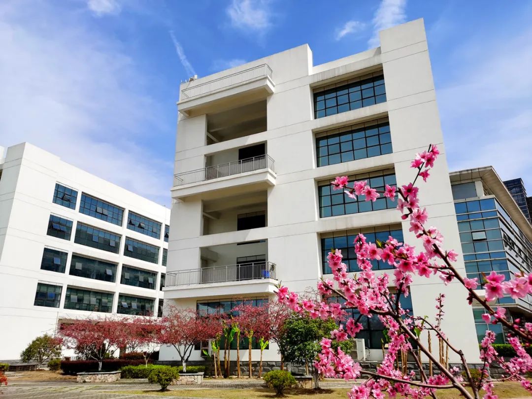 20210406105815393615