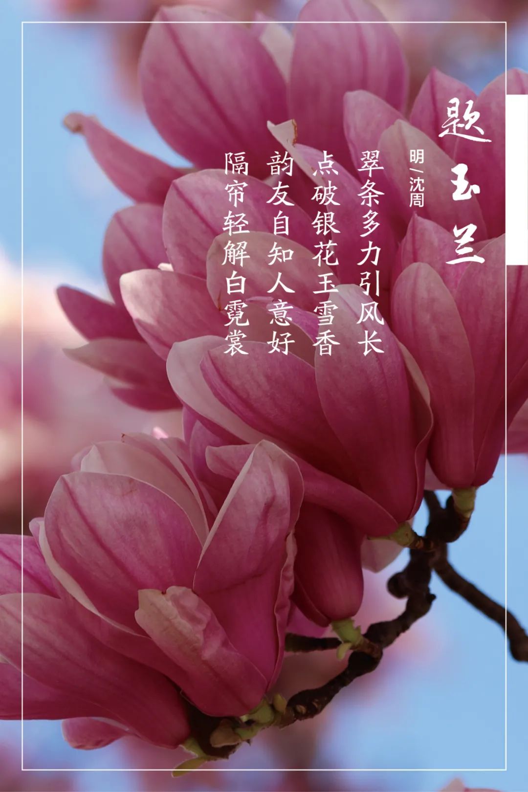 20210406105816209618