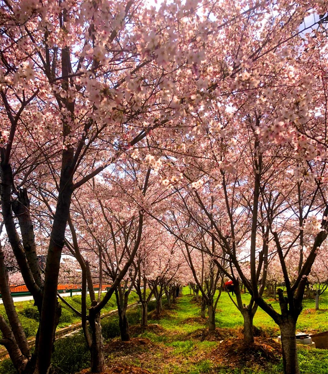 20210406105822379440