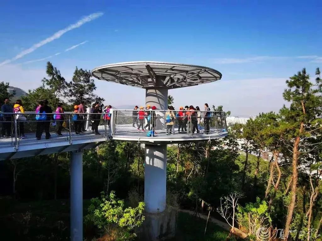 20210406110937852215