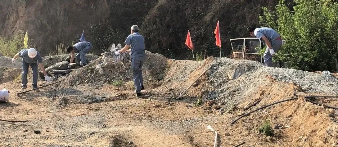 20210517134806459412