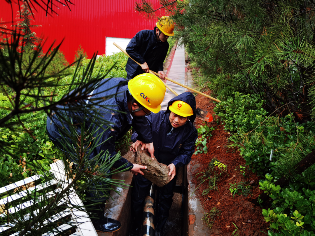 20210726094552433625