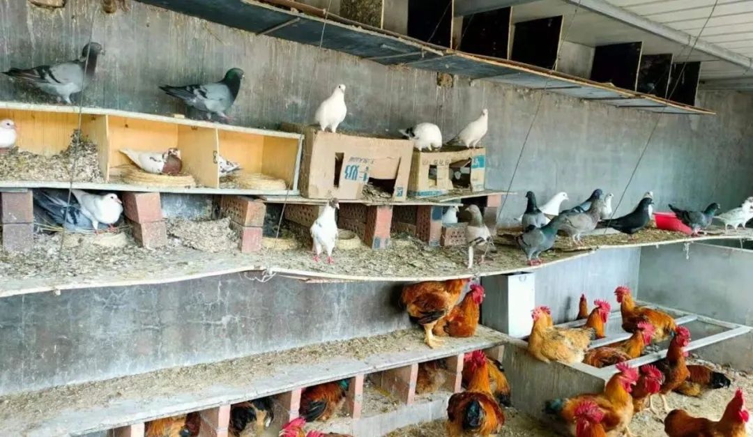 20210729114010793921