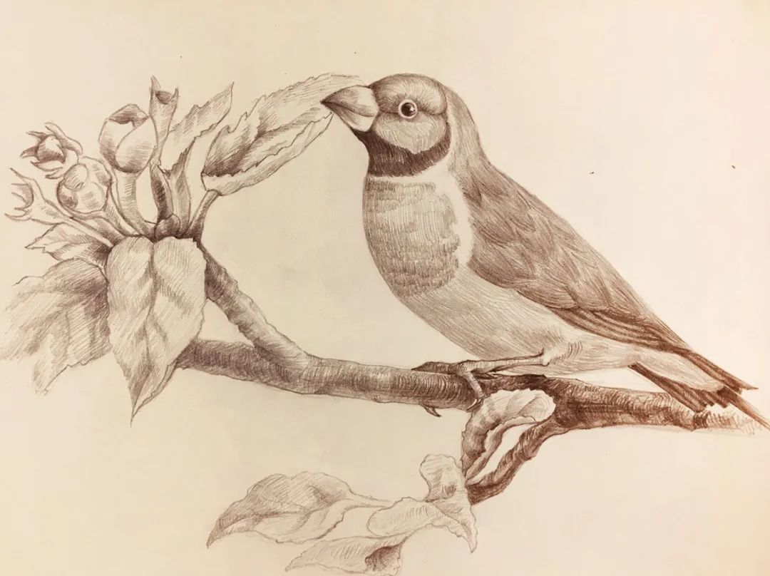 20230130102055220512