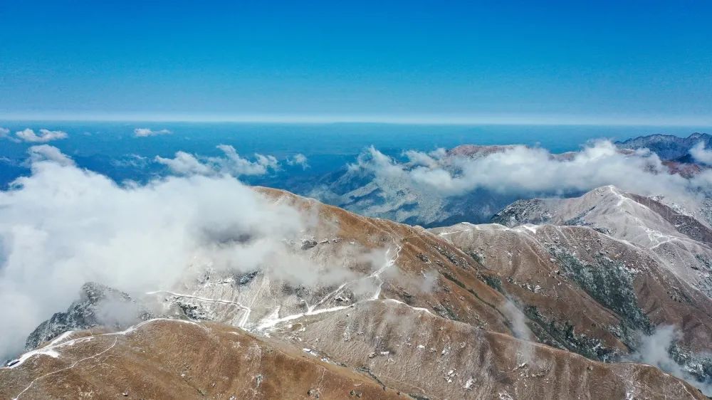 20230130102754054210