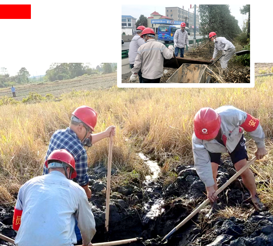 20230310110626534911