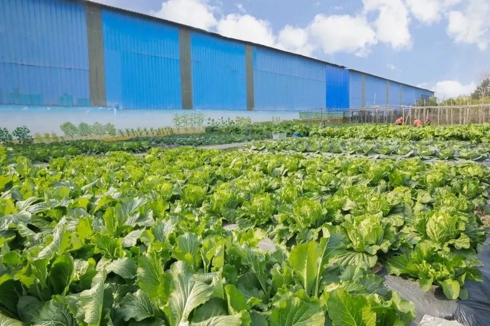 20230511160249583811