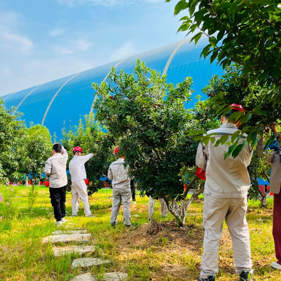 20230707172909213310