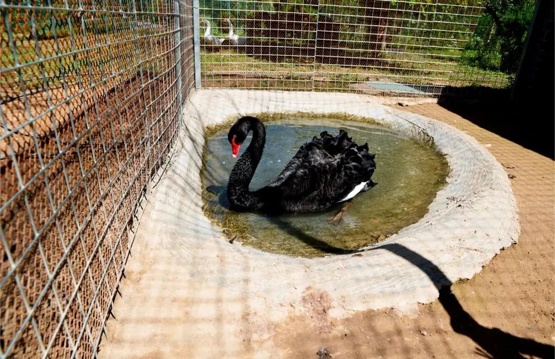 20230821094348357020