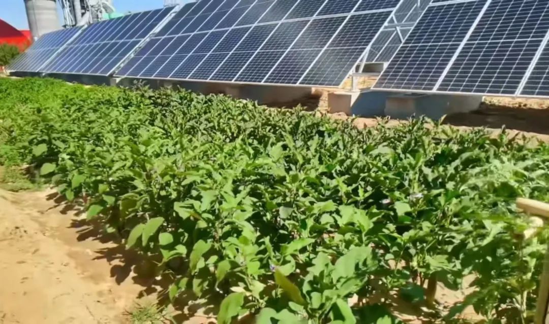 20230821094349825627