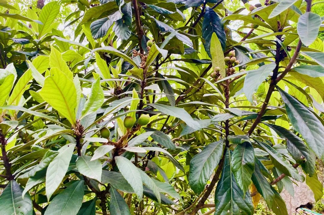 20230821094352874837