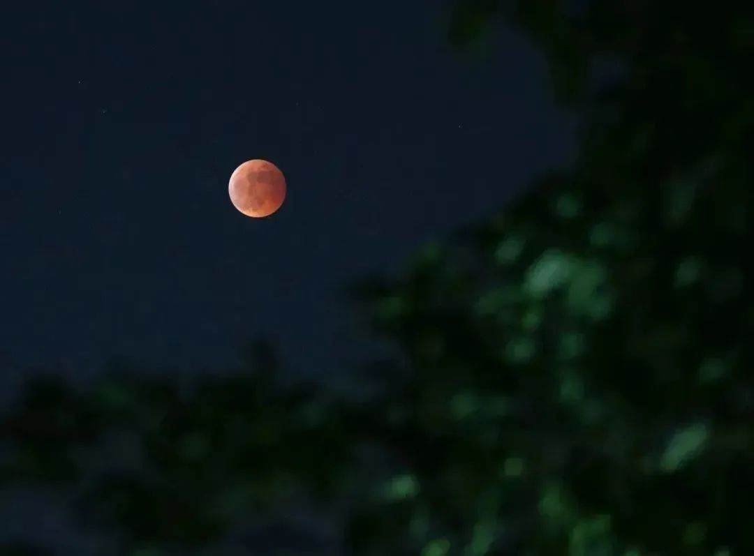 20231007092301259235