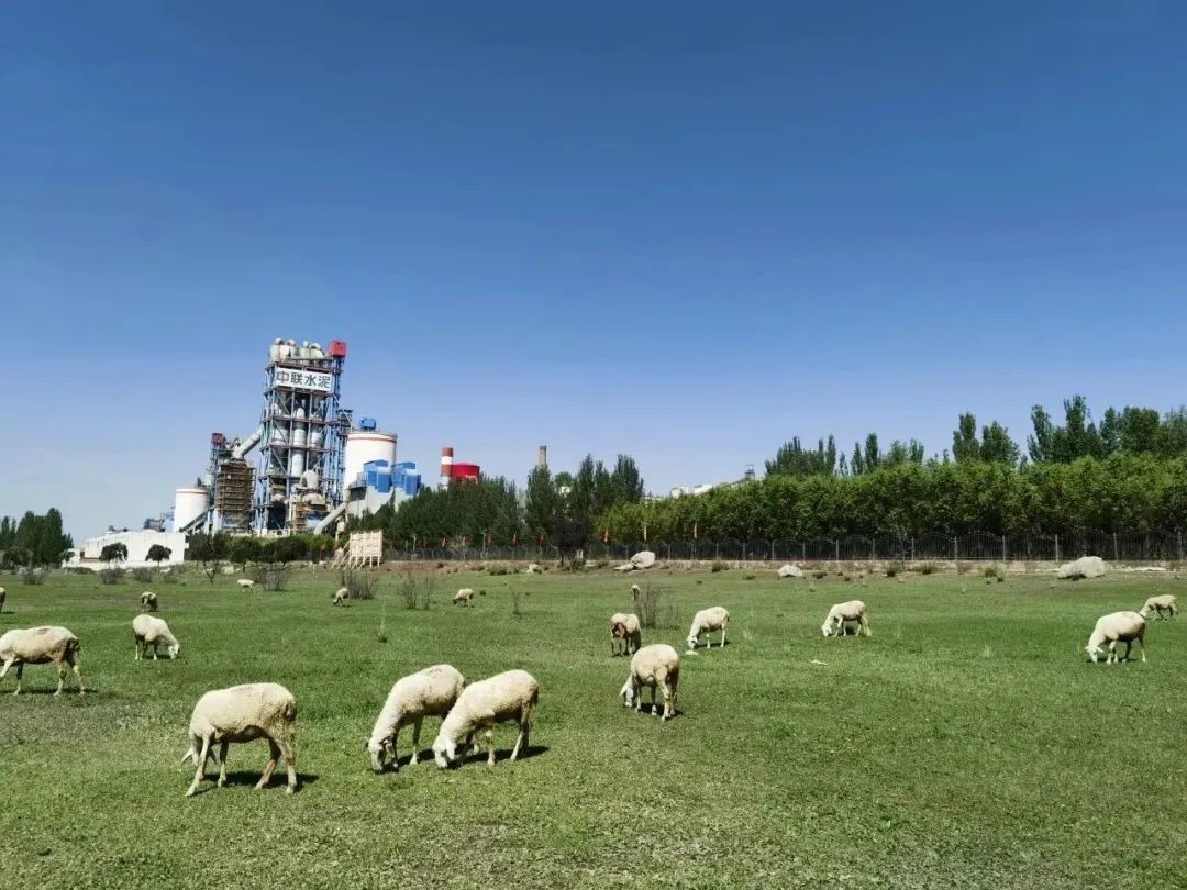 20231007103158878246