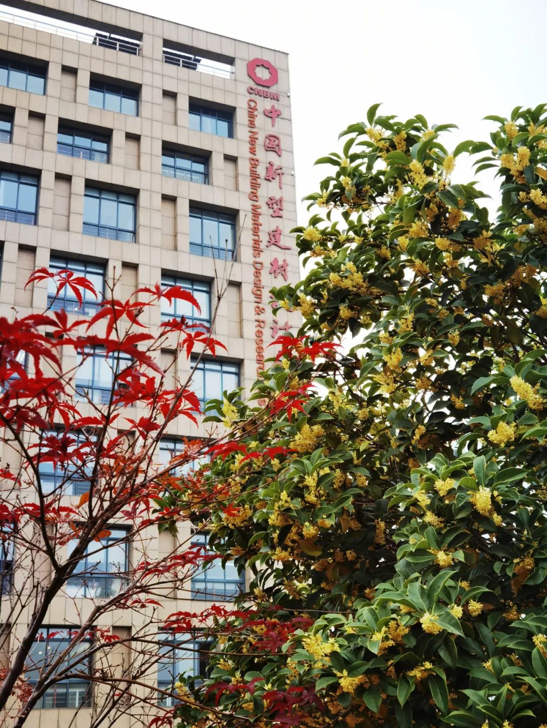 20231204094359024435