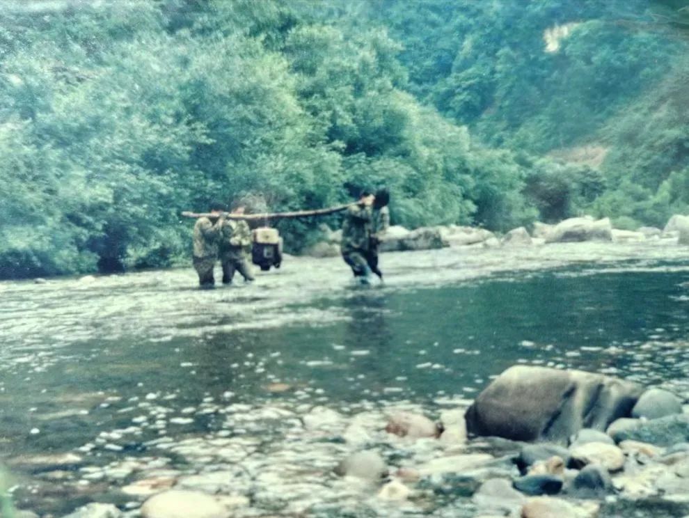 20240306100141852817