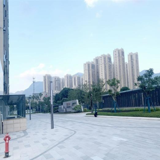 20241021172147526923