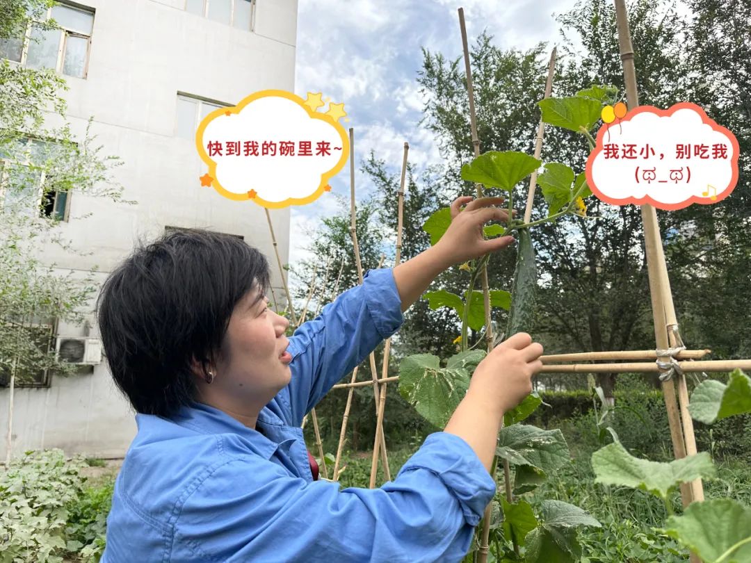 20241028114352447818