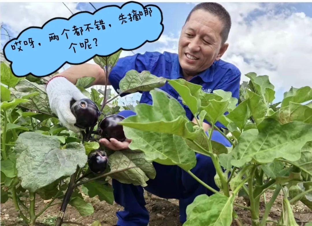 20241028114352590923