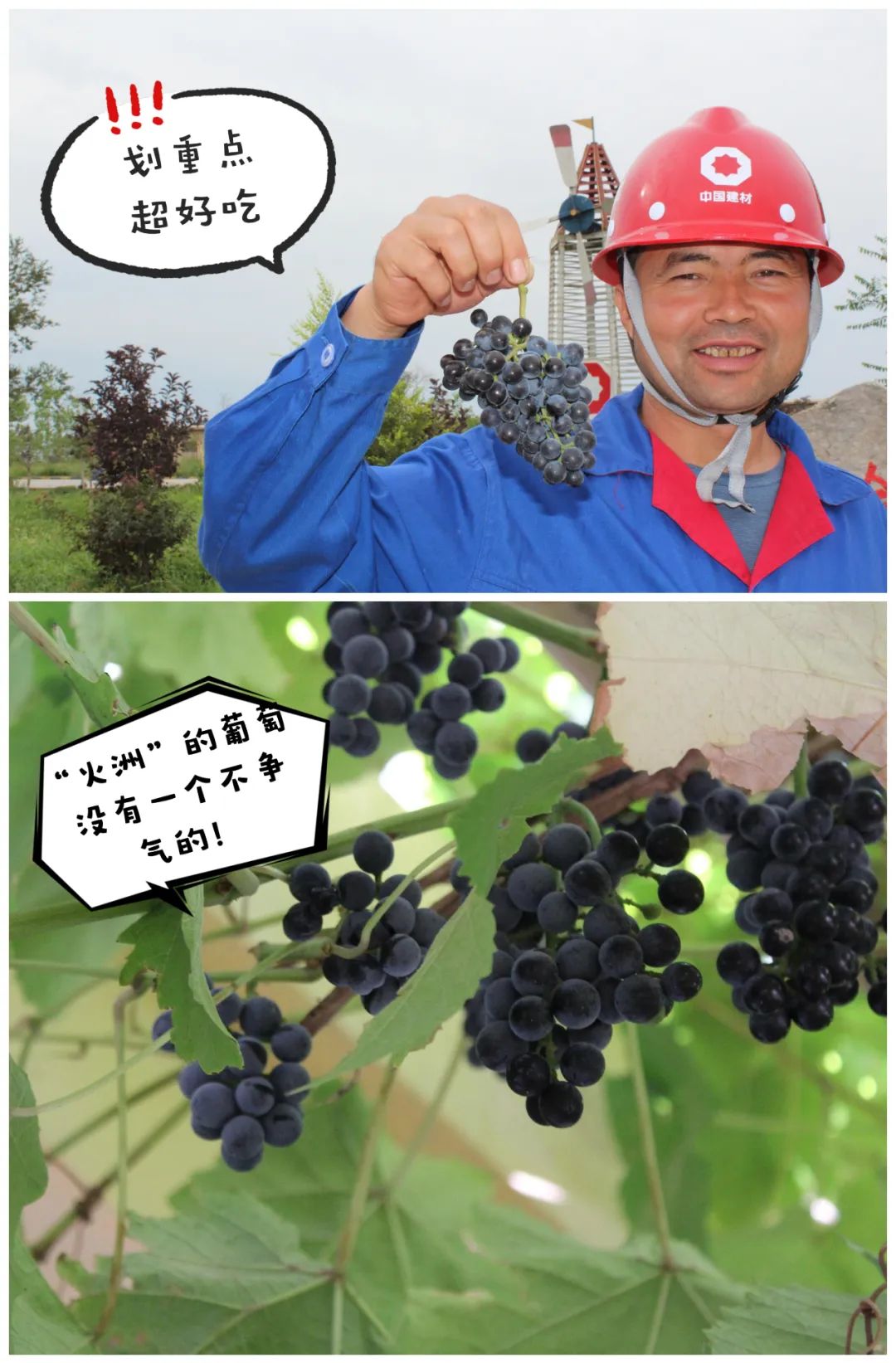 20241028114352712527