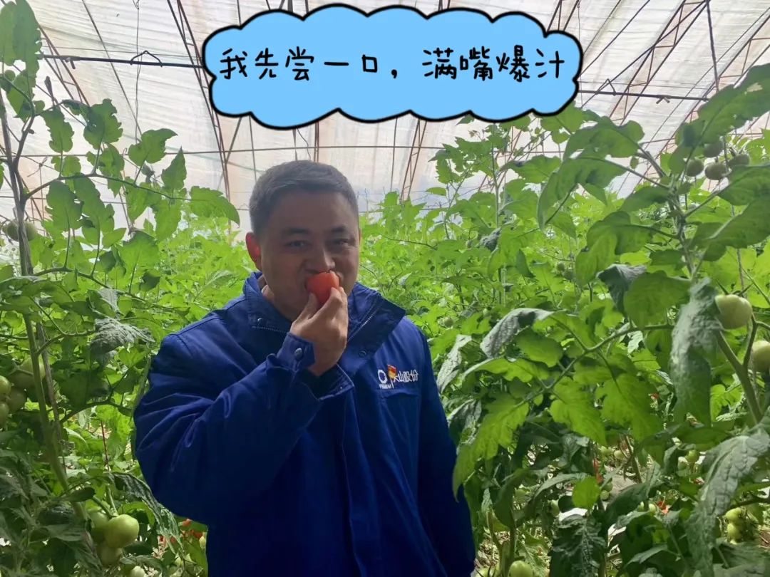 20241028114352801329