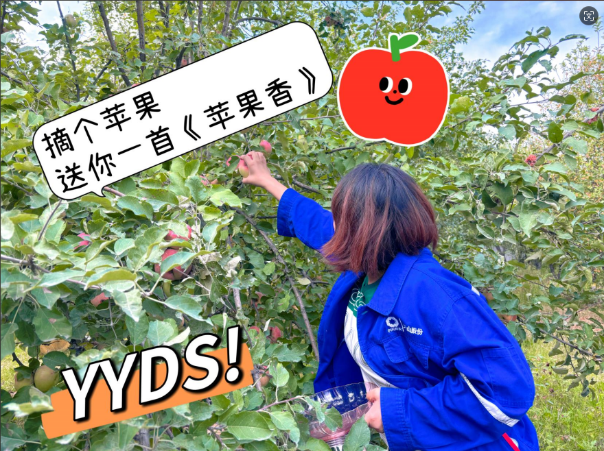 20241028114353046735