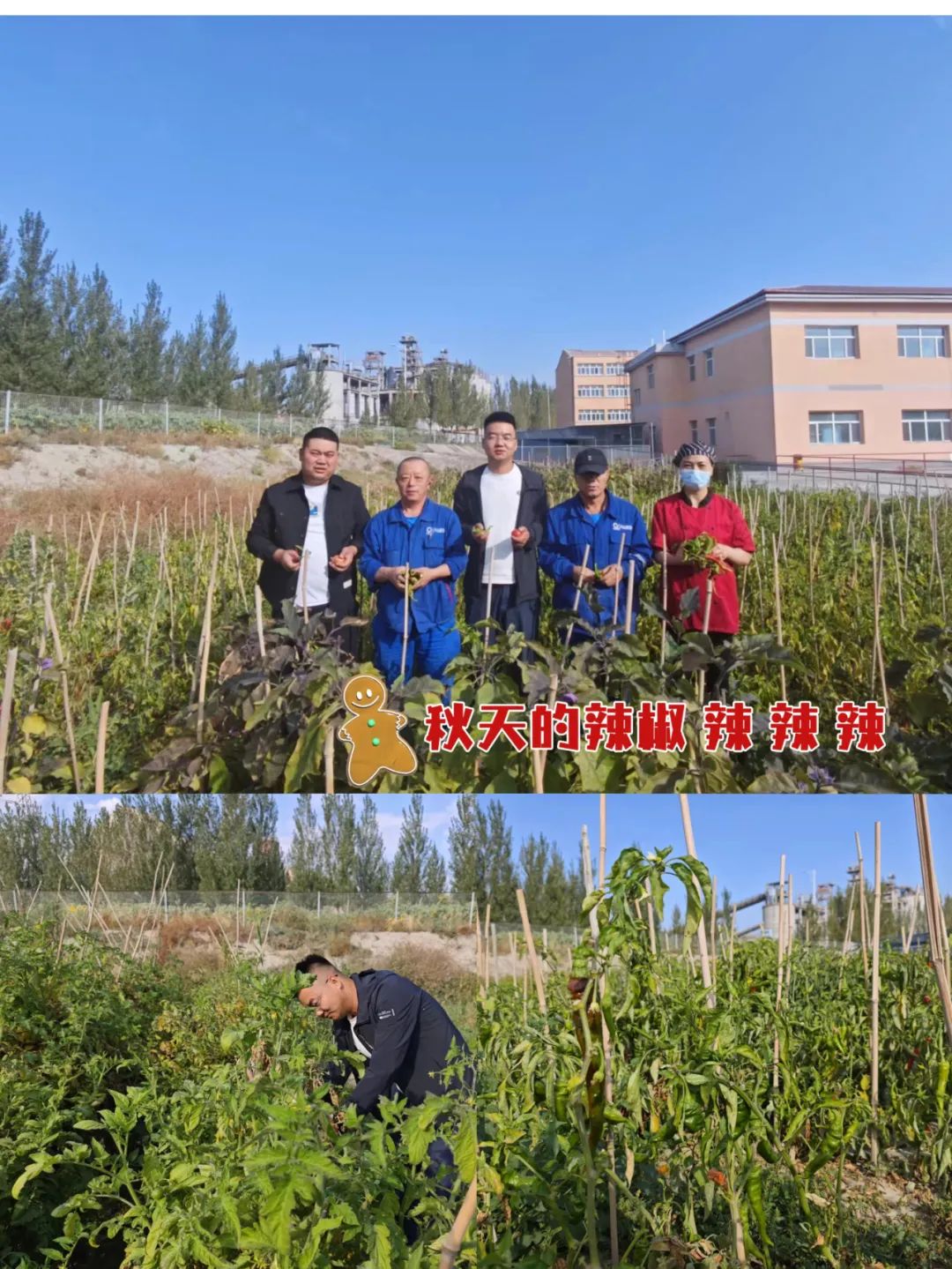 20241028114353339042