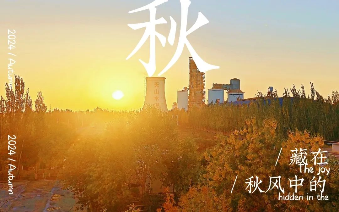 20241118161350523814