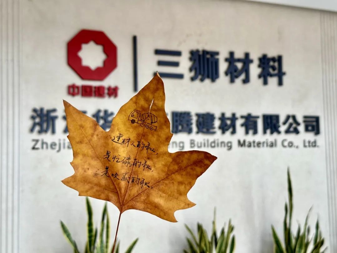 20241118161350902523