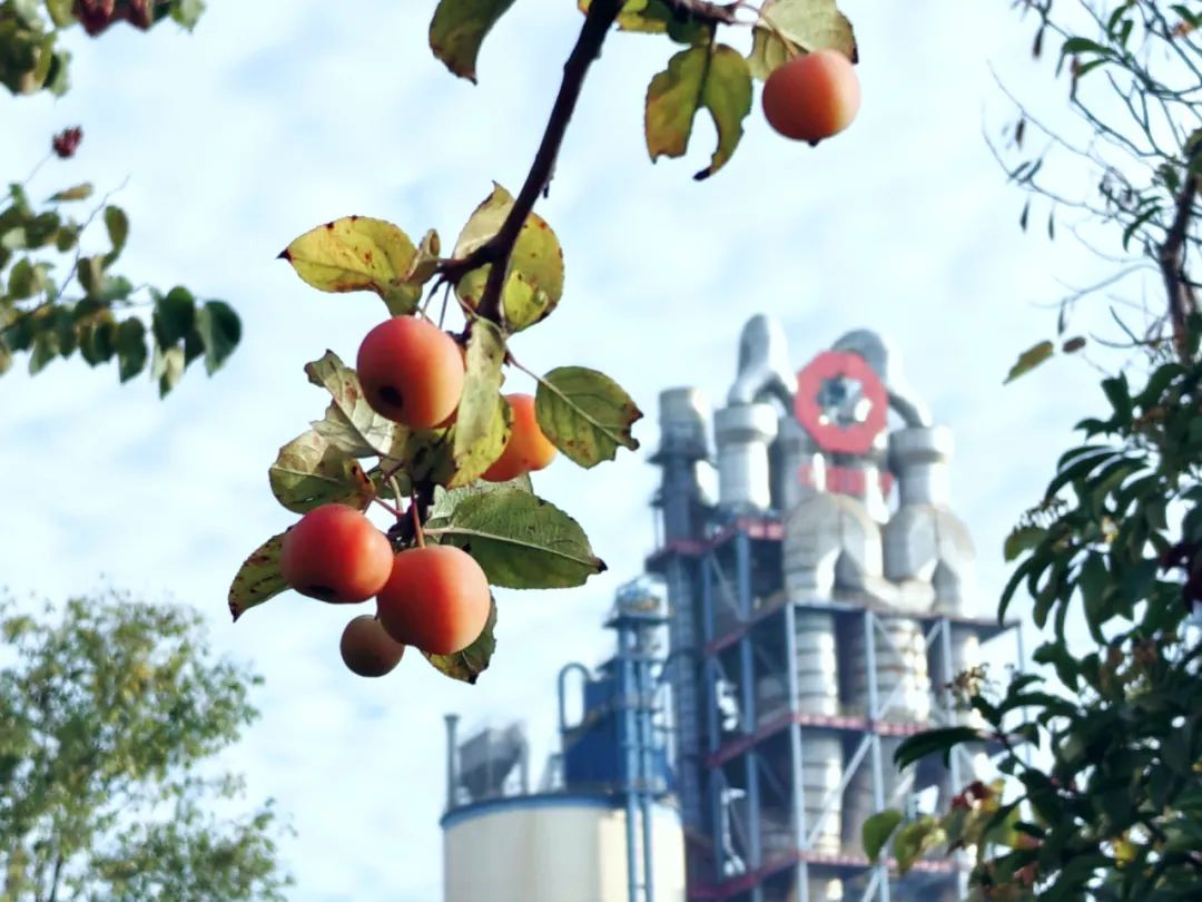 20241118161351028627