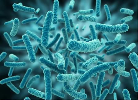 20241202110358405817