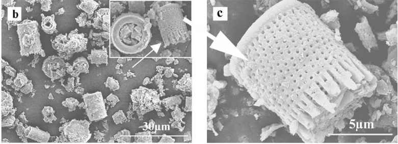 20241202110358672323