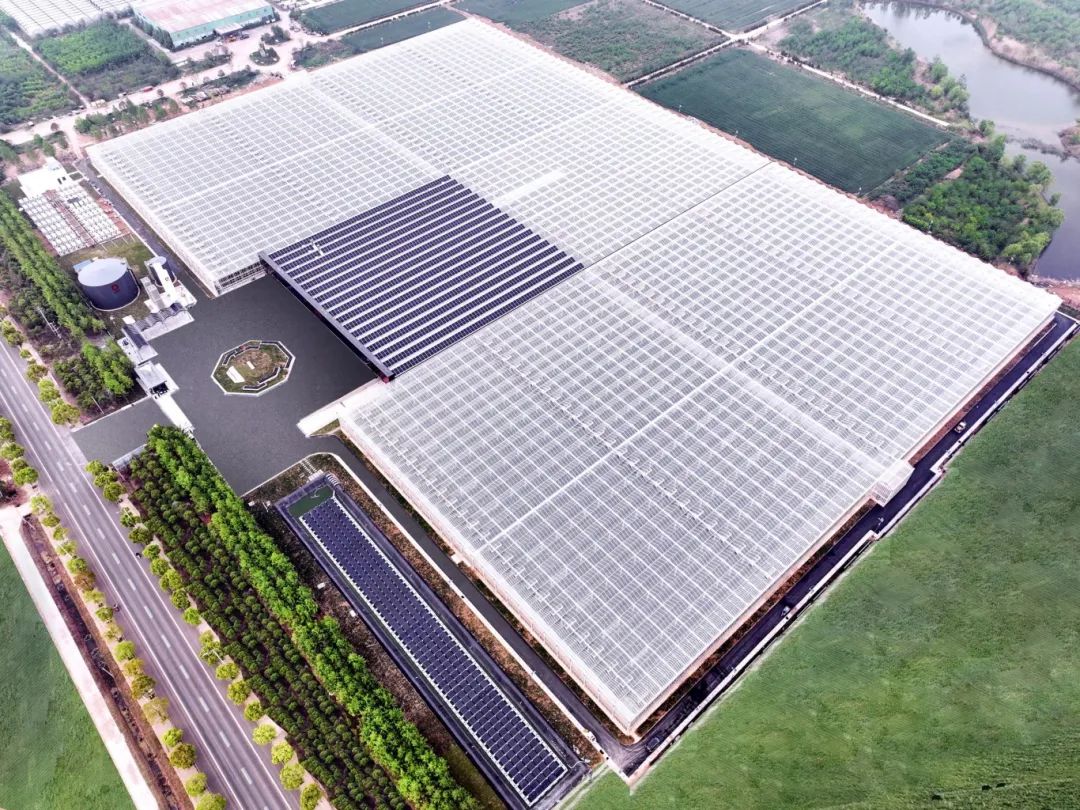 20241217101728022020