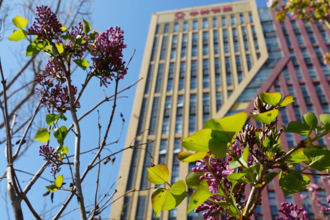 20250407094959648622